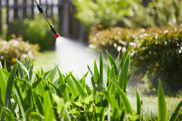 24/7 Emergency Termite Control experts in Auburn, IN