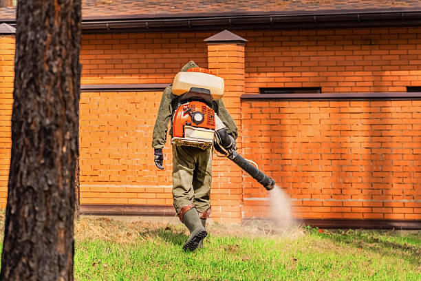 Trusted Cockroach Control service in Auburn, IN - Nex Pest Control